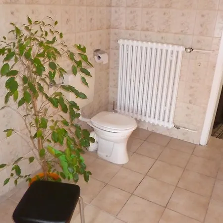 Lonniger House Kır Evi *